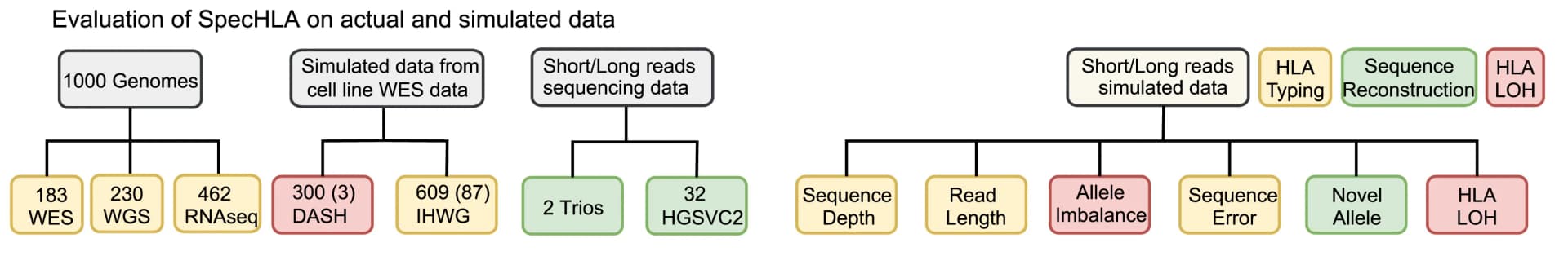 Open access visualization of Workflow, Flowchart, SpecHLA, Actual data, Simulated data