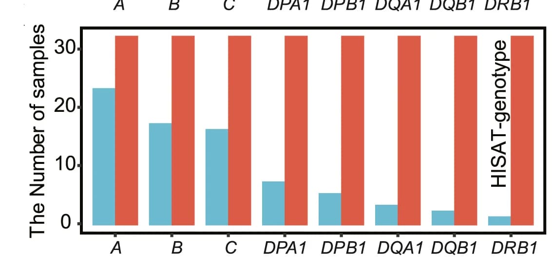 Open access visualization of Bar Plot, Clustered, HLA Alleles, Reconstructed Sequences, Full-length HLA Alleles