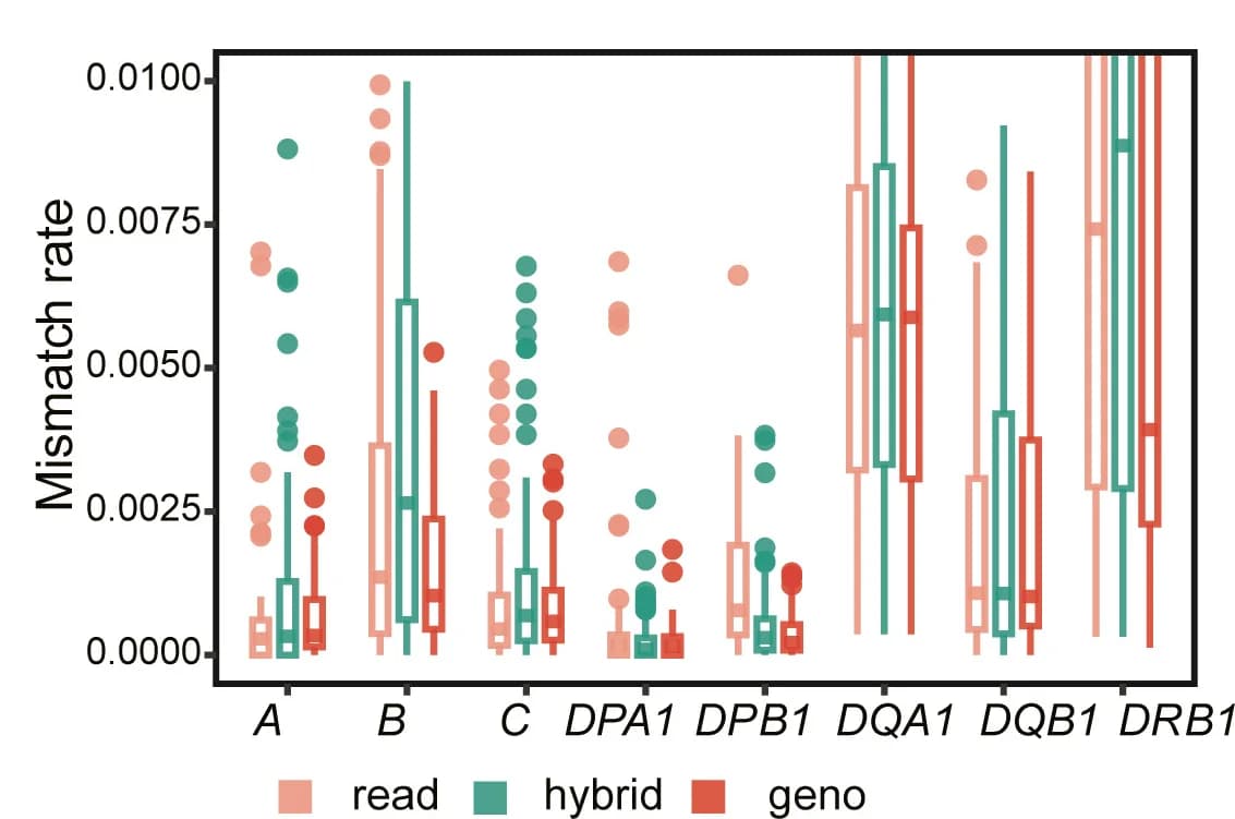Open access visualization of Box Plot, Scatter Plot, SpecHLA, Genotype frequency, Mismatch rate