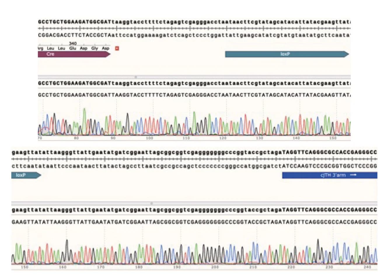 Open access visualization of Line Plot, DNA Sequencing Analysis, KI Allele