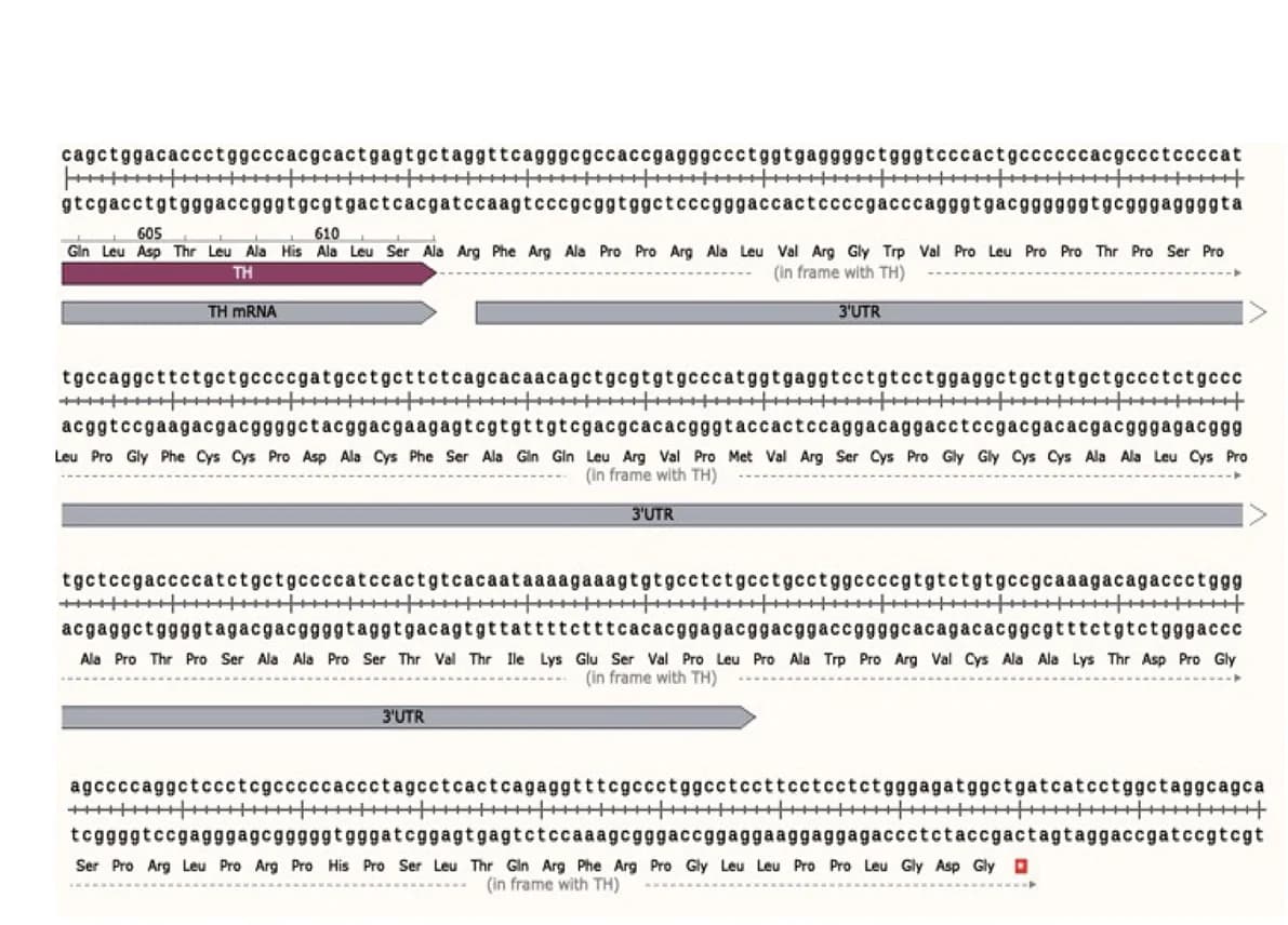 Open access visualization of Workflow, Illustration, 7-bp Deletion, non-KITHWT Allele, Coding Sequence
