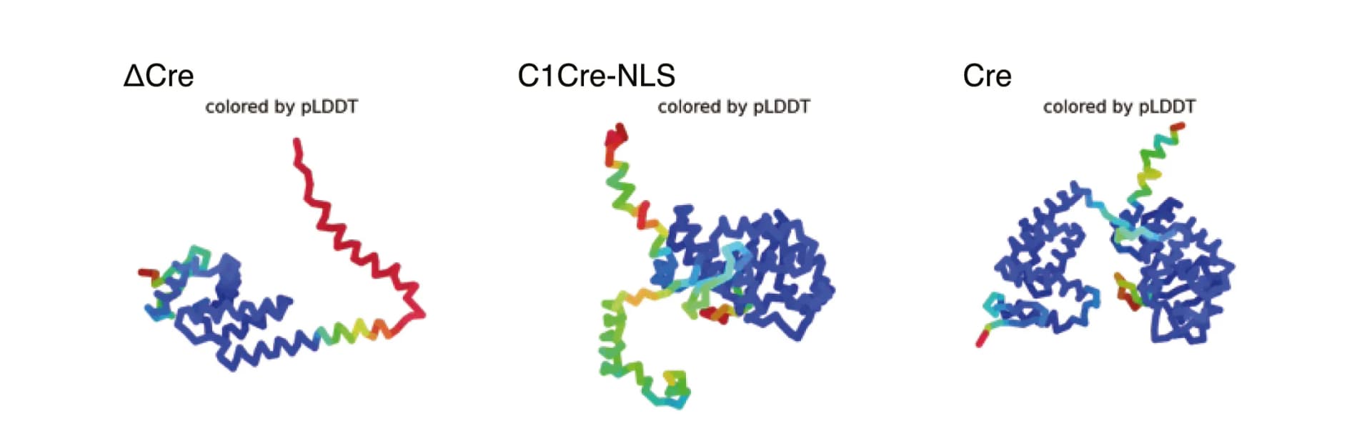 Open access visualization of Protein Structure, AlphaFold2, Structural Estimation, Cre Variants