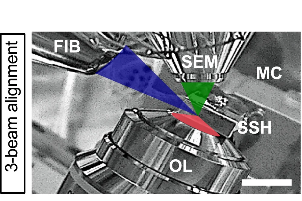 Open access visualization of Microscopy, Infrared Photograph, FIB-SEM, SEM Beam, LM Beam