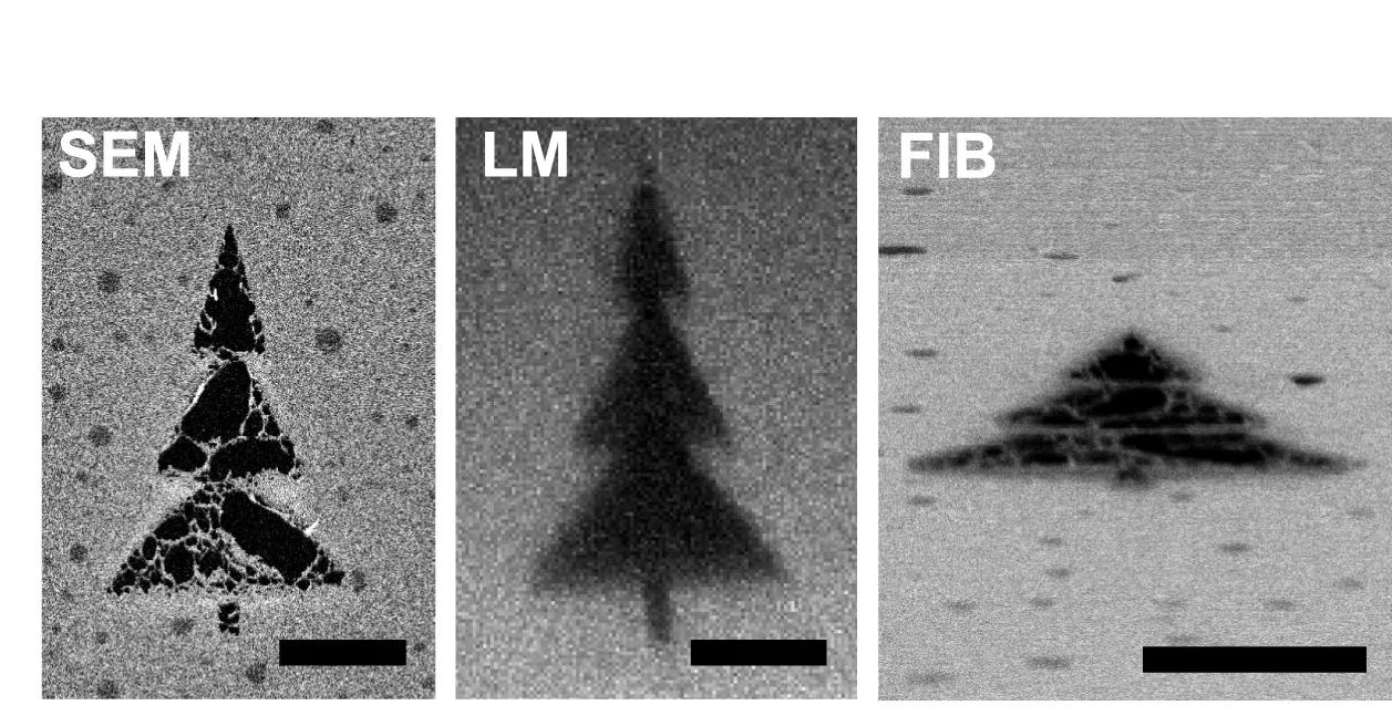 Open access visualization of Microscopy, Milled Pattern, Imaging Modalities, Light Microscopy, Reflected Light