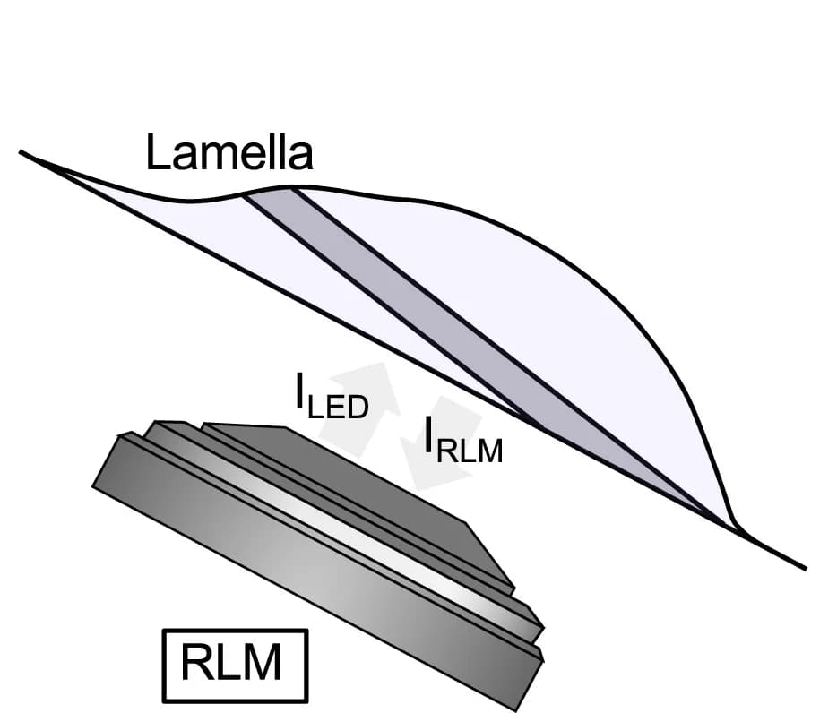 Open access visualization of Illustration, Schematic, Lamella, Objective Lens, Reflected Light