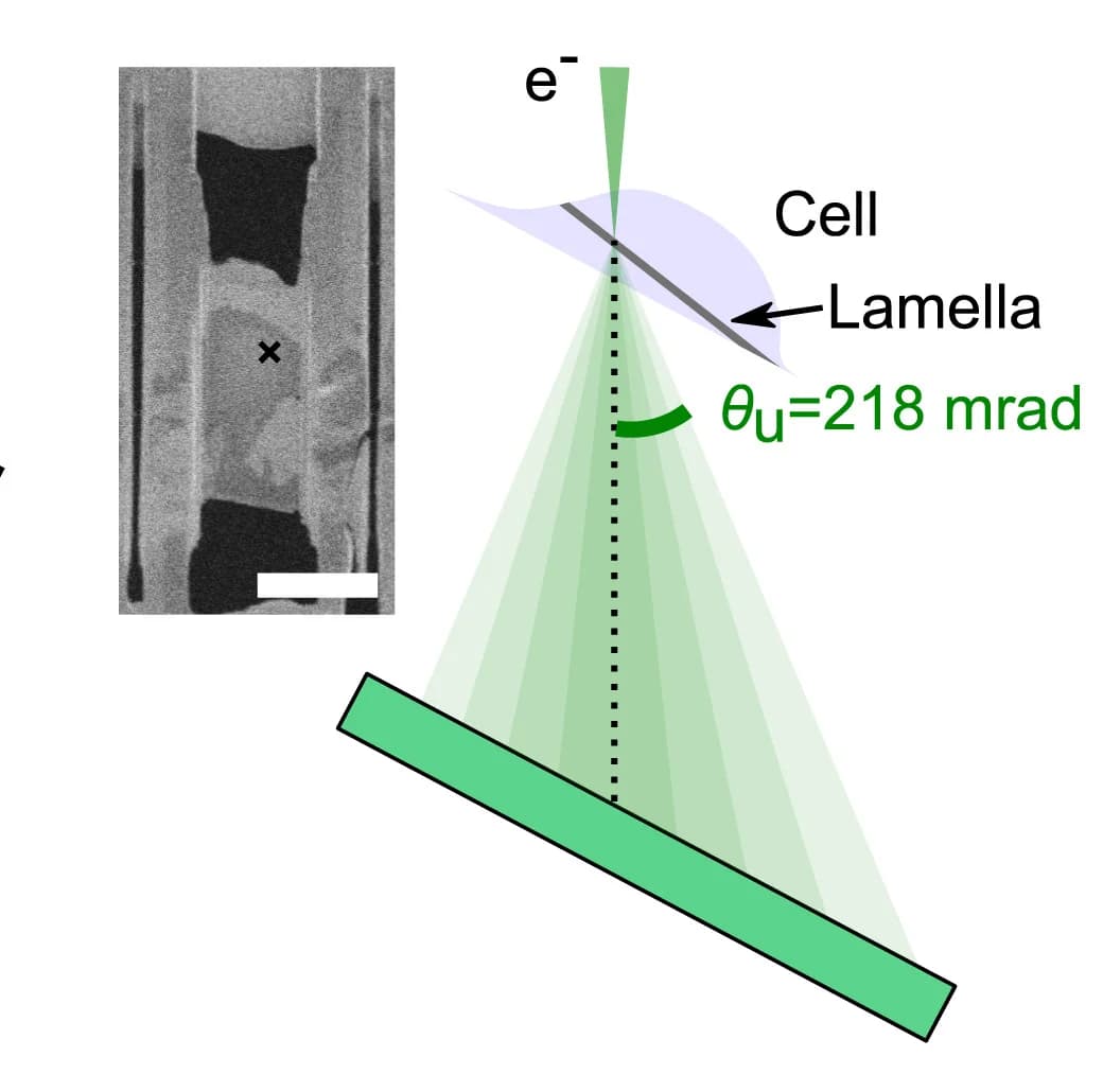 Open access visualization of Microscopy, Illustration, Workflow, Scattering Process, SEM Image