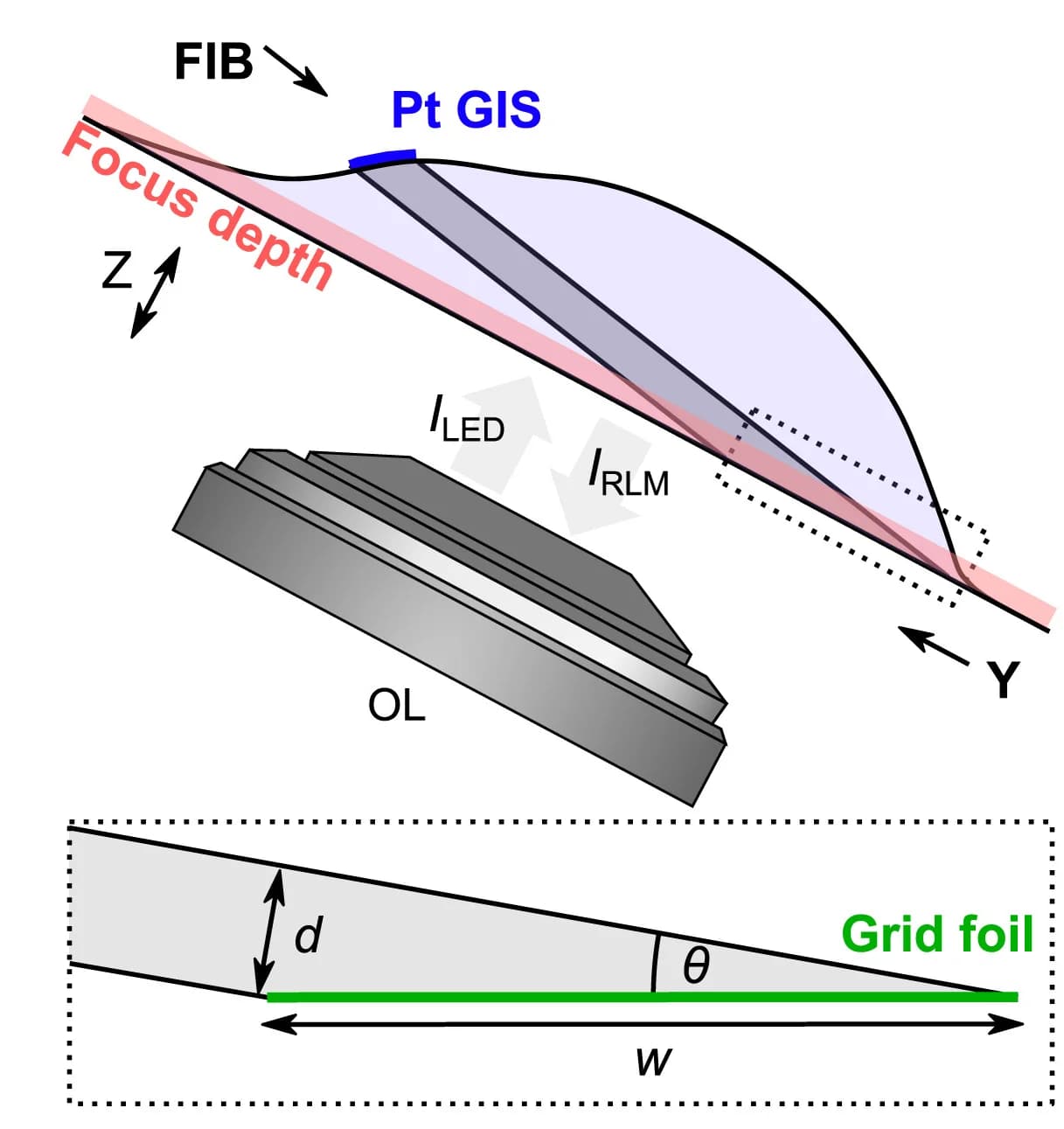 Open access visualization of Illustration, Workflow, Lamella, RLM Imaging, Optical Focus