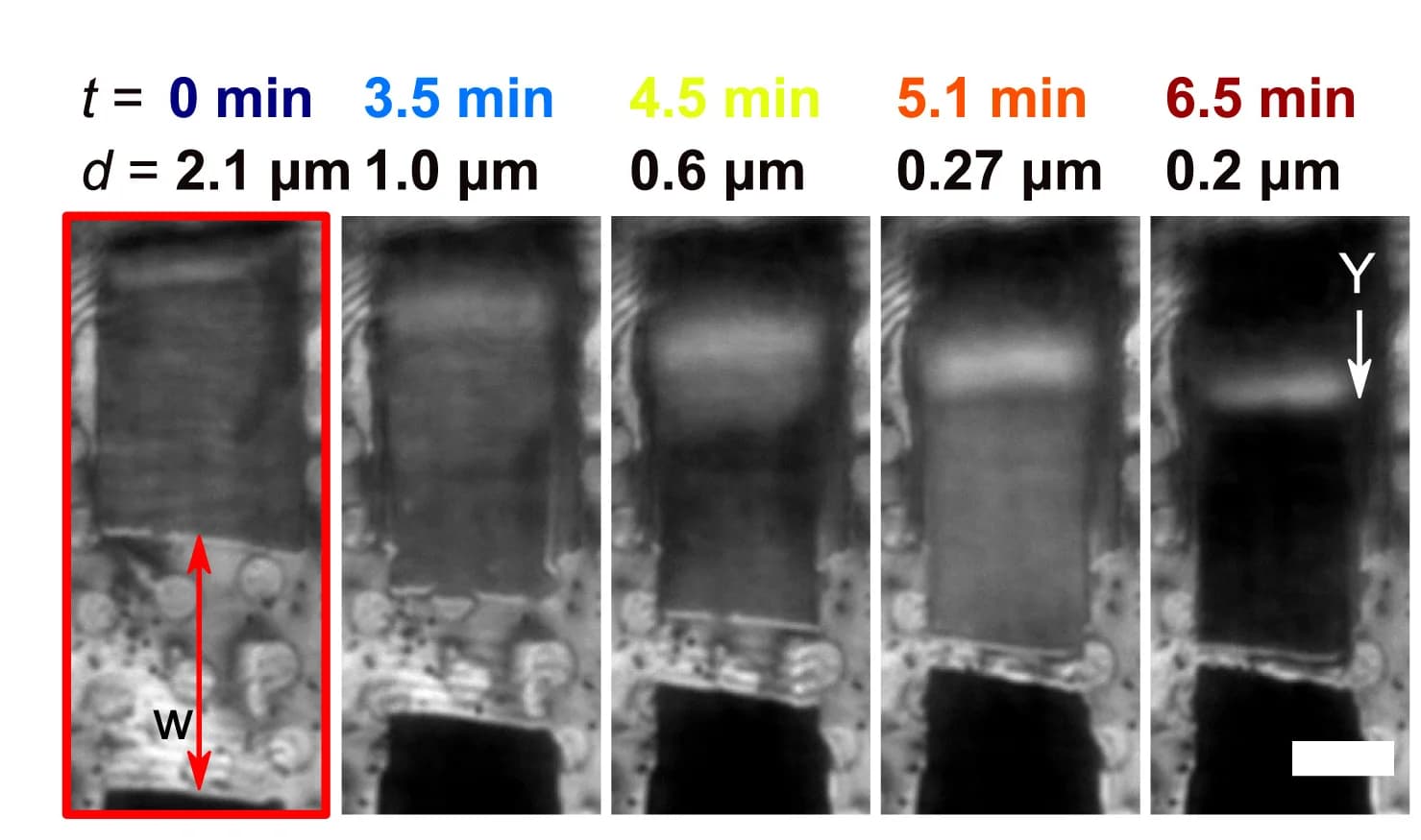 Open access visualization of Microscopy, Lamella, Milling