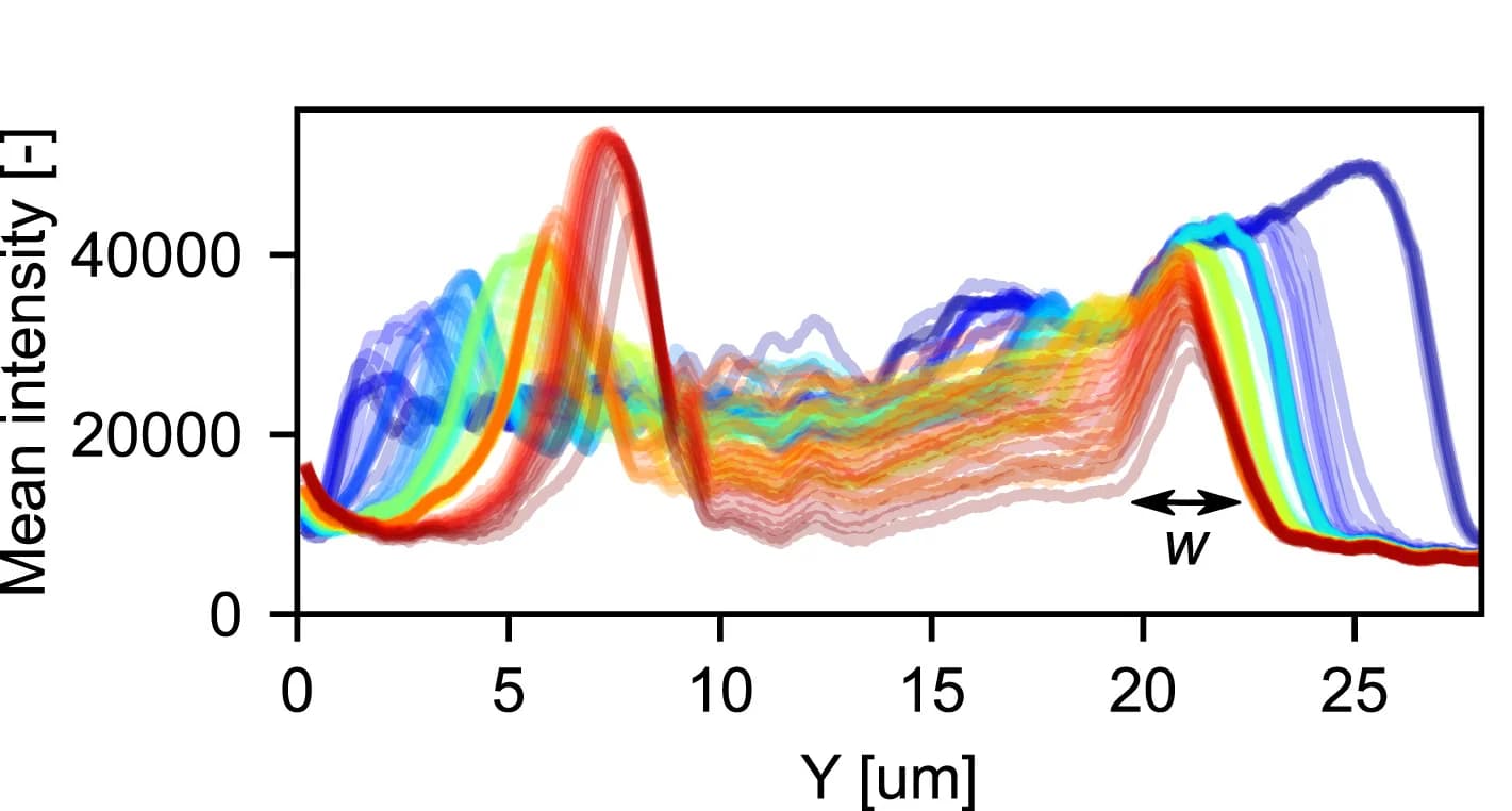 Open access visualization of Line Plot, RLM, Intensity Profiles, Lamella