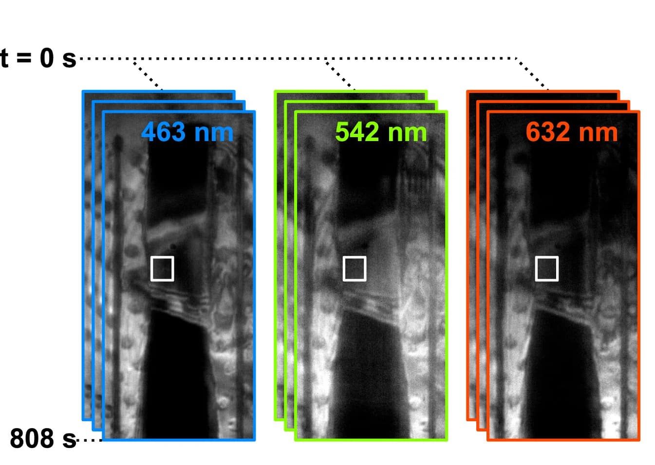 Open access visualization of Microscopy, Reflected Light Images, Lamella, Thinning