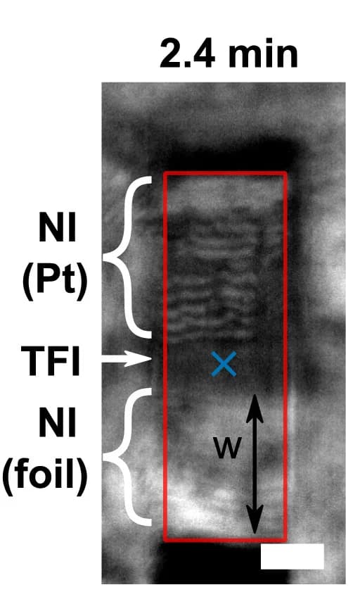 Open access visualization of Microscopy, Lamella, Reflected Light Microscopy, Newton Interferometer, Thin-Film Interference