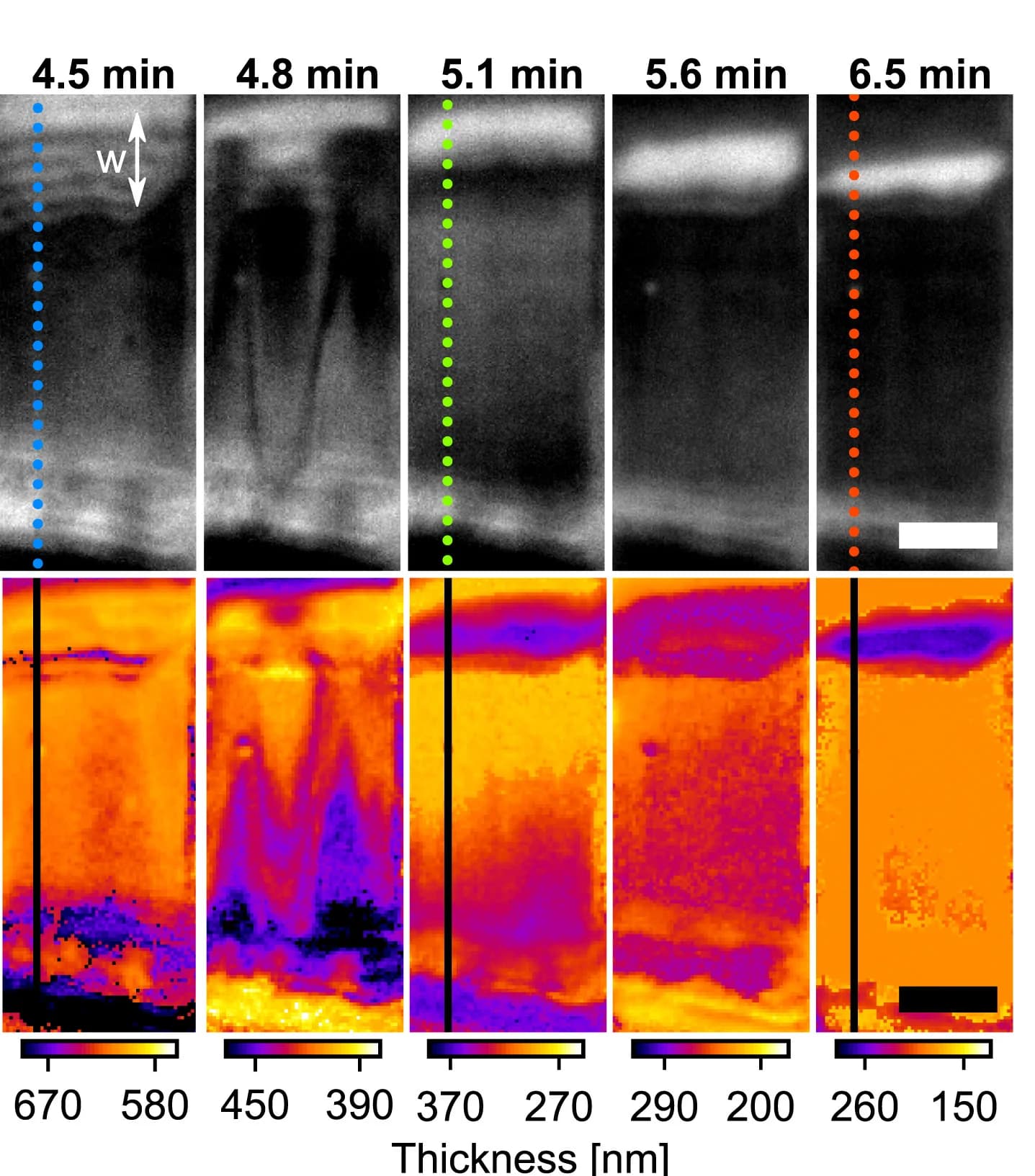 Open access visualization of Microscopy, Lamella, Reflected Light Microscopy, Milling, q4STEM