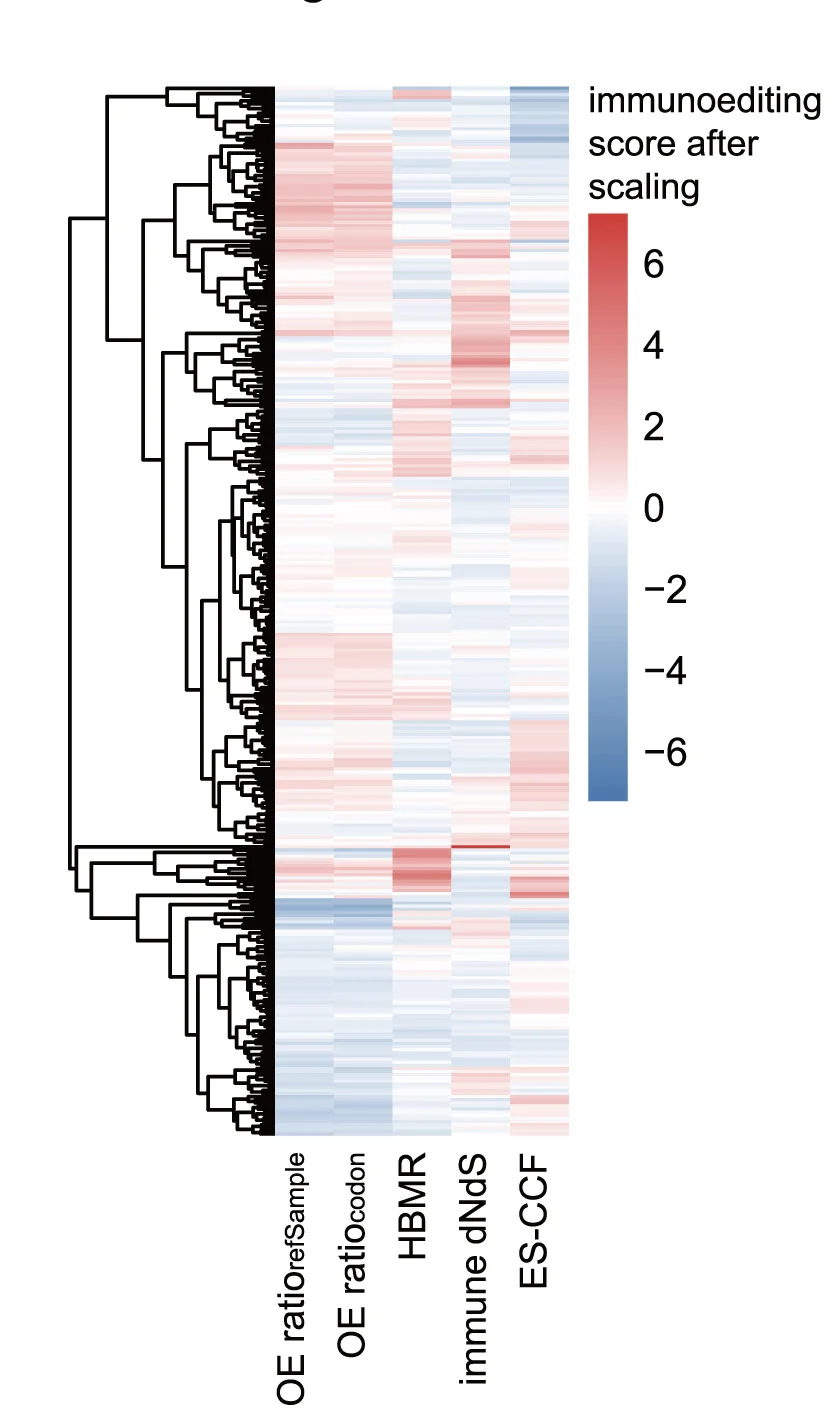 Open access visualization of Heatmap, Clustered, Immunoediting Scores, TCGA LUAD Samples