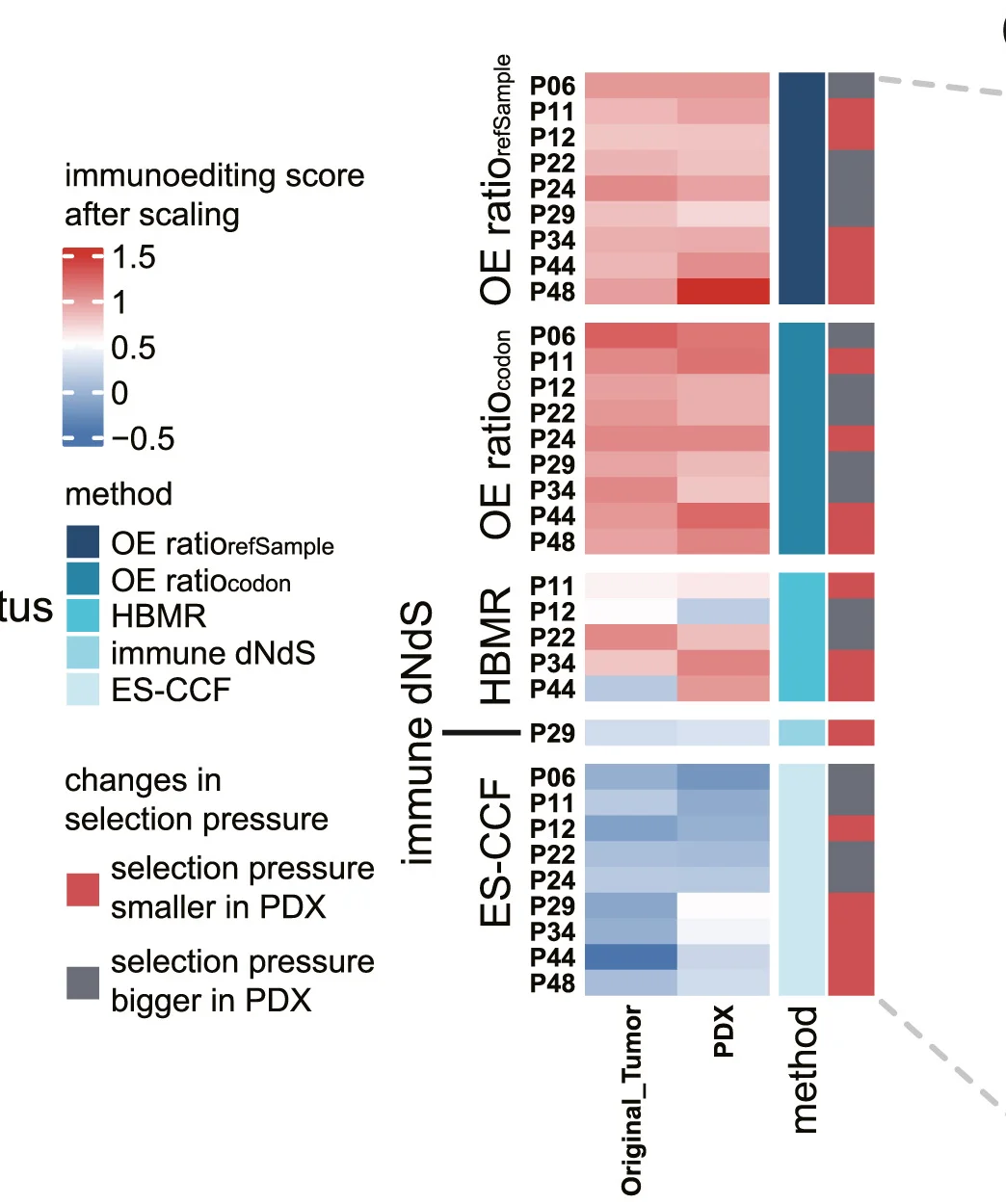Open access visualization of Heatmap, Bar Plot, Immunoediting Scores, PDX Models, Tumors