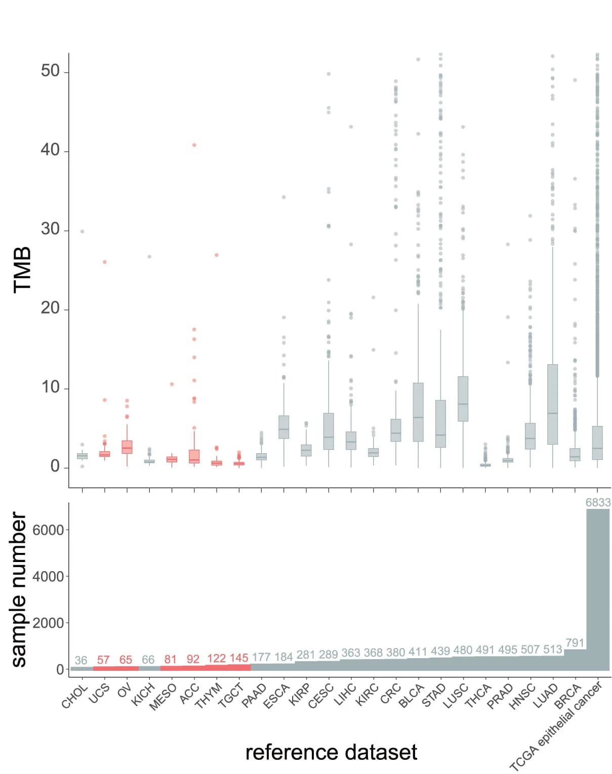 Open access visualization of Box Plot, Bar Plot, Scatter Plot, Tumor Mutational Burden, TMB