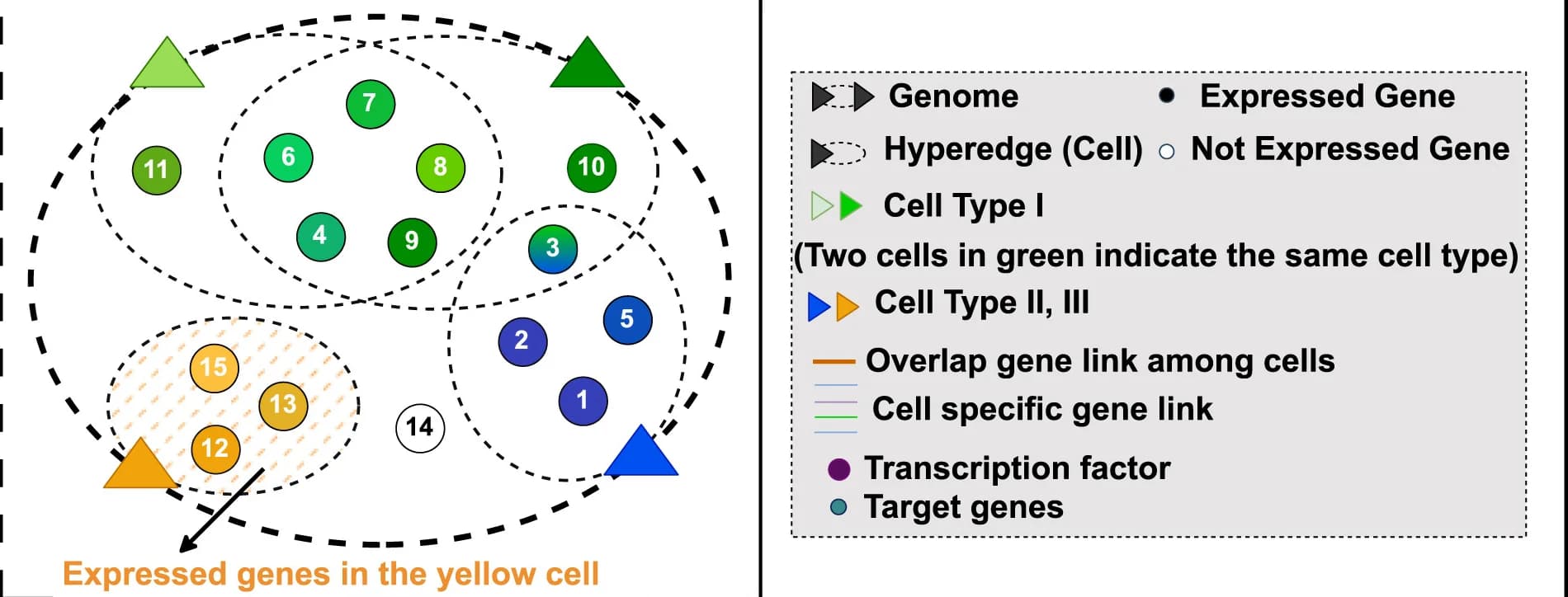 Open access visualization of Network, Pathway, Genes, Cells, Nodes