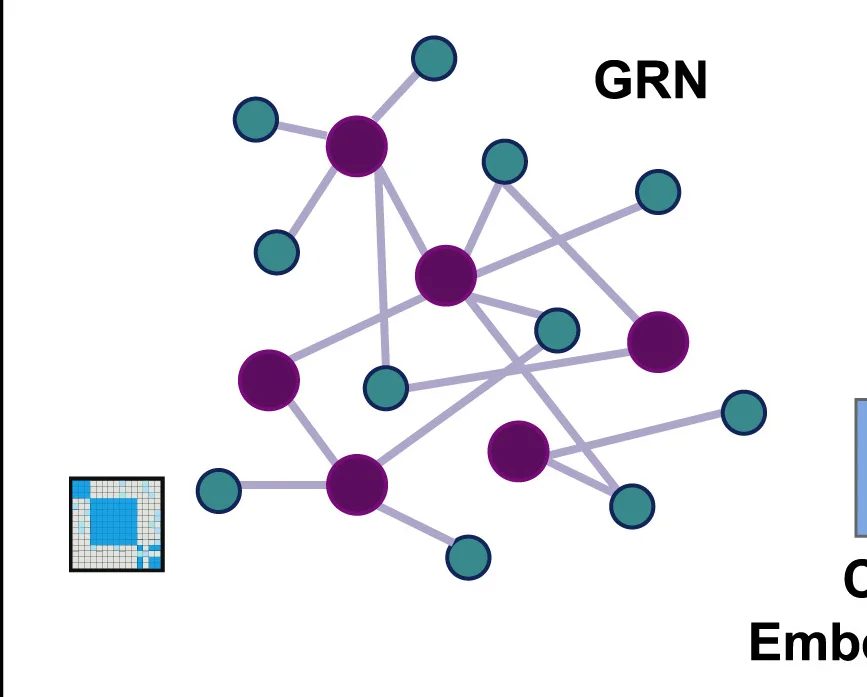 Open access visualization of Network, Pathway, Heatmap, Downstream Tasks, HyperG-VAE