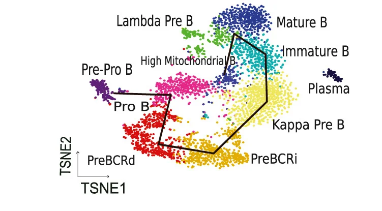 Open access visualization of Scatter Plot, UMAP, PCA, t-SNE, Cell Embedding