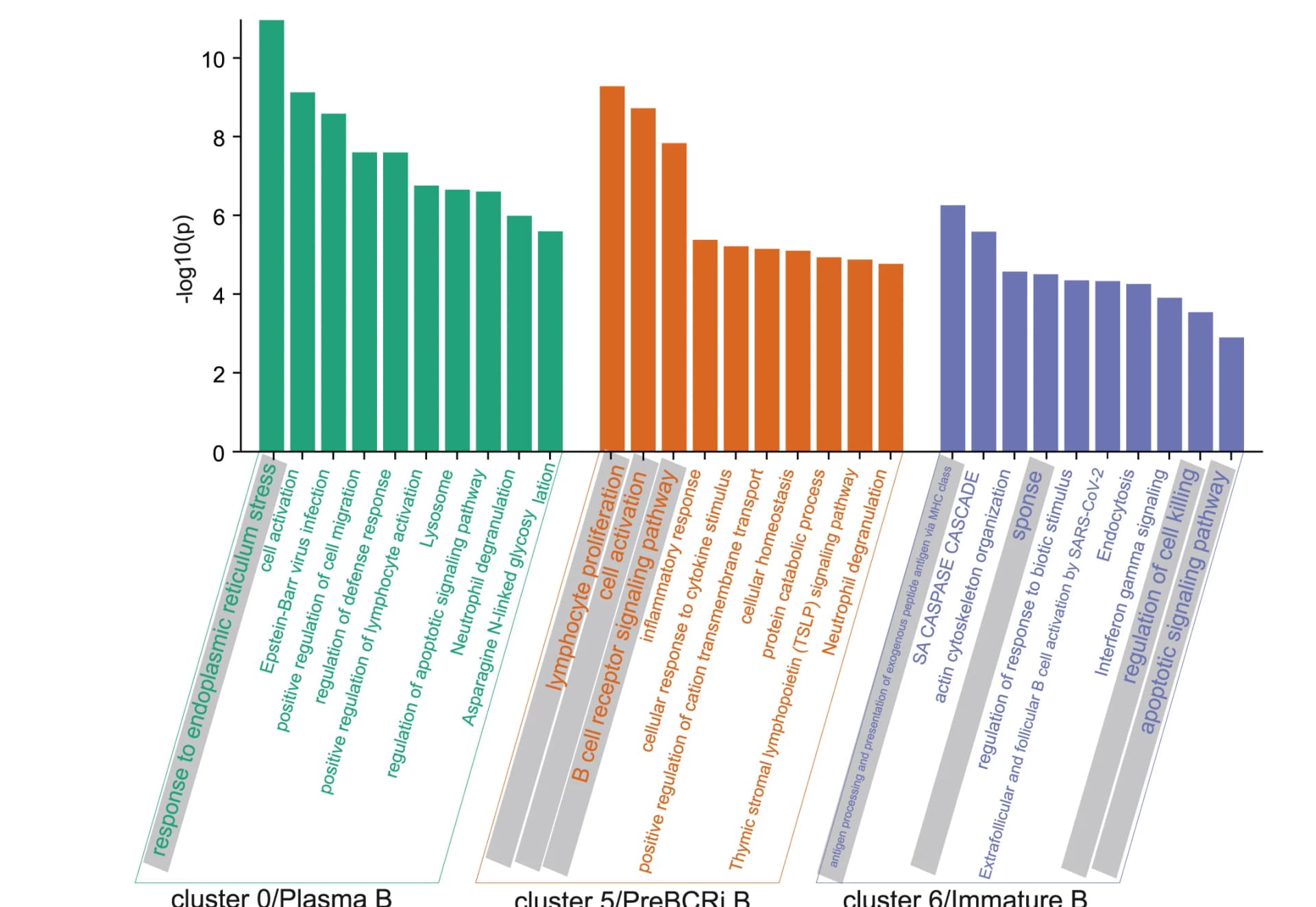Open access visualization of Bar Plot, Pathway Enrichment Analysis, Gene Clusters, Gene Programs