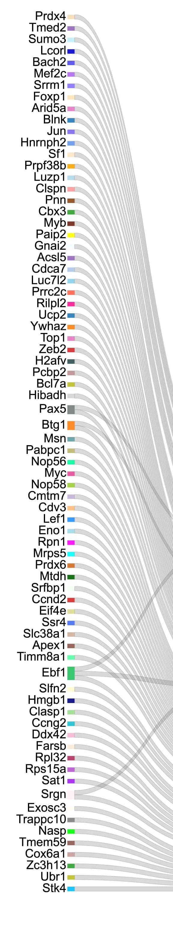 Open access visualization of Sankey, Sankey Diagram, Regulons, Target Genes, B Cell Development