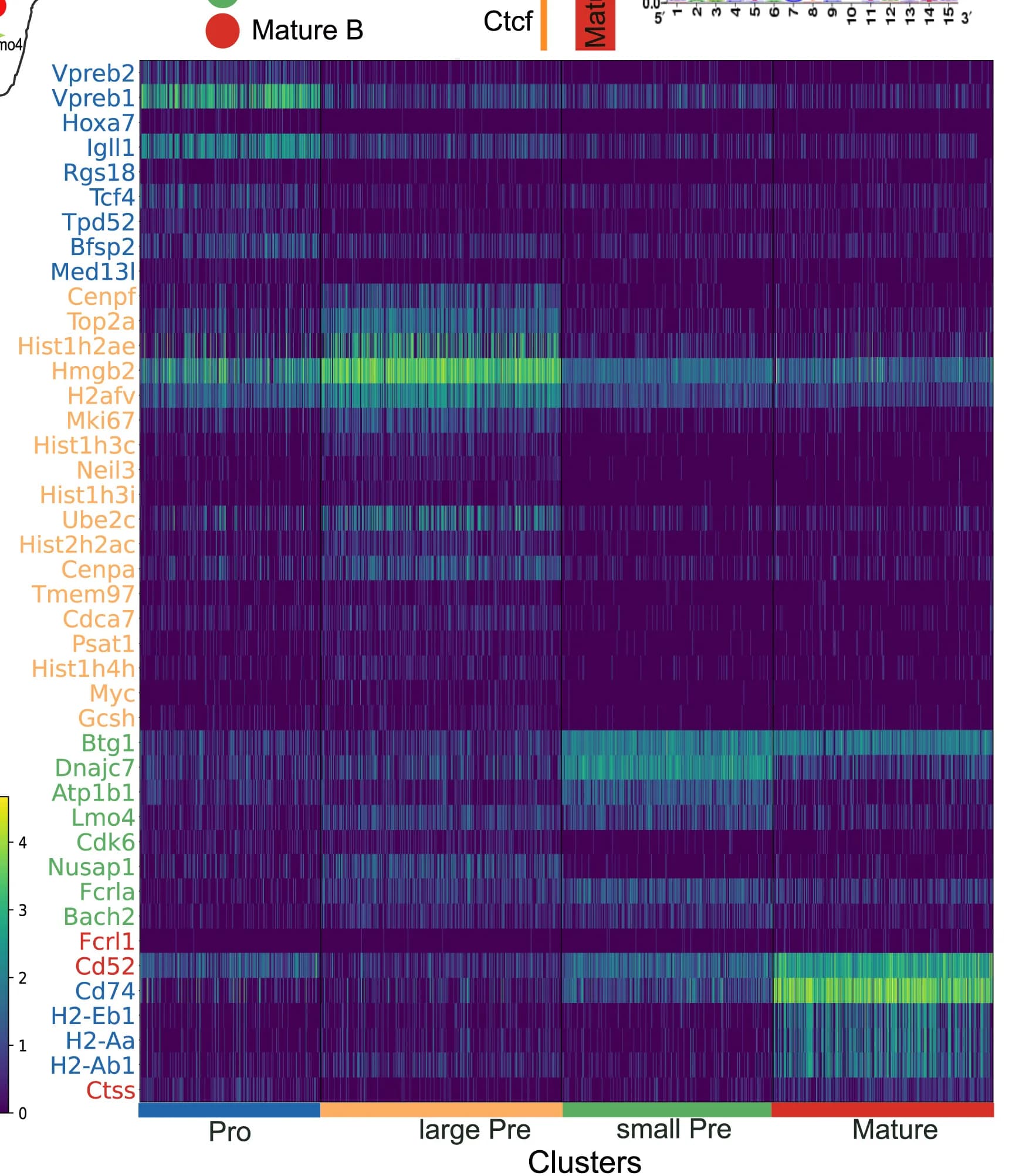 Open access visualization of Heatmap, Gene Expression, Log Fold Change, Cells, Cell States