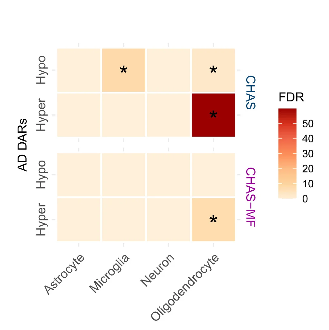 Open access visualization of Heatmap, Cell Type Enrichments, AD-associated DARs, CHAS Scores, CHAS-MF Proportions