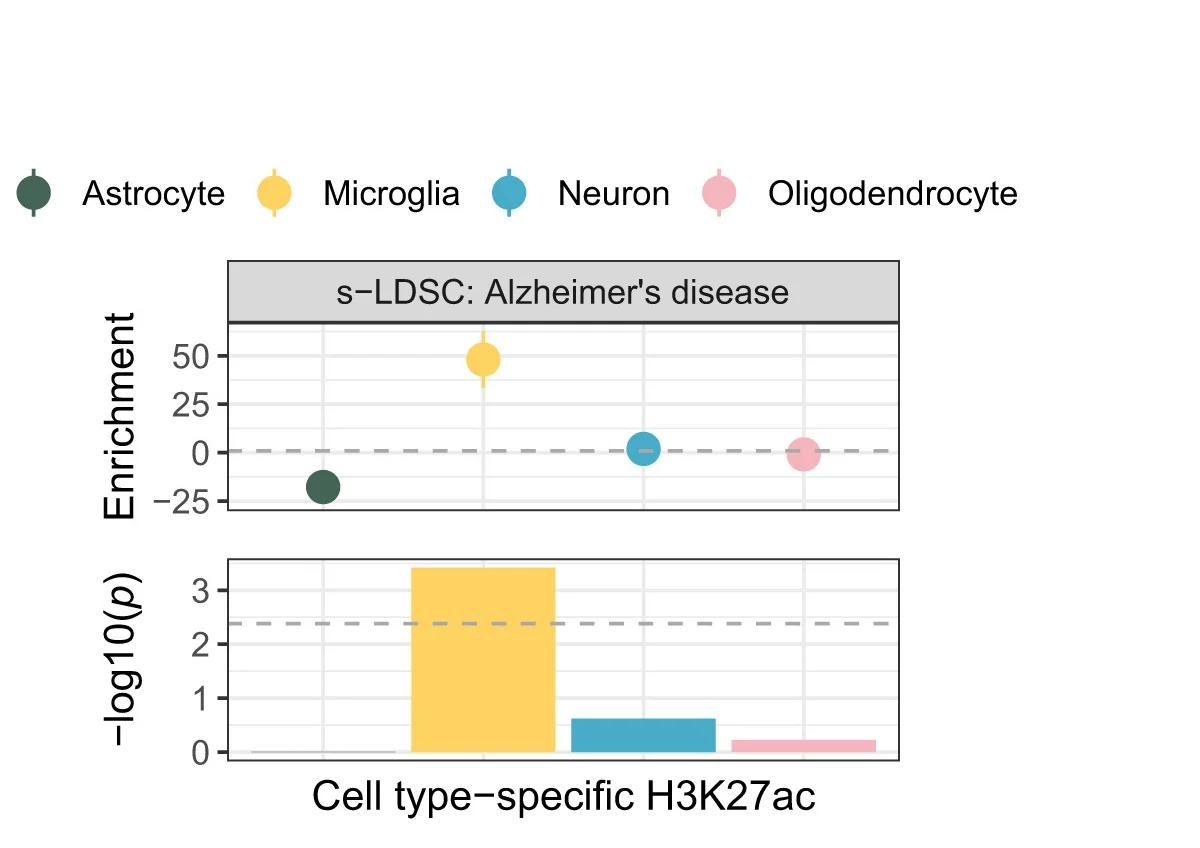 Open access visualization of Scatter Plot, Bar Plot, s-LDSC, AD GWAS, CHAS