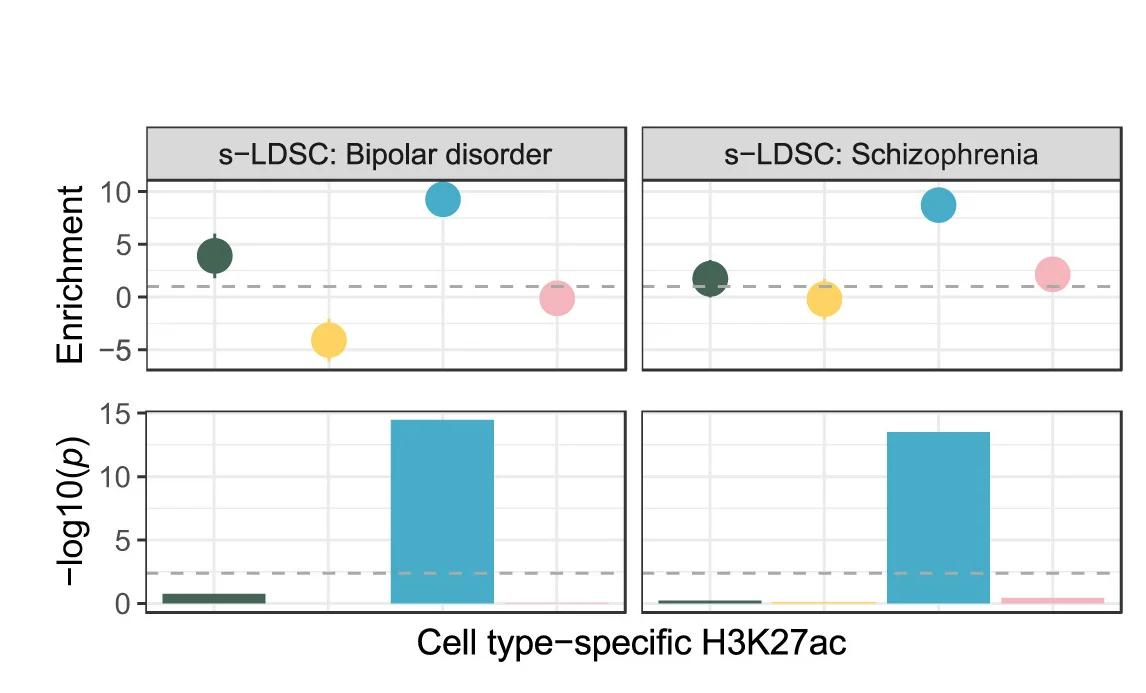 Open access visualization of Scatter Plot, Bar Plot, s-LDSC, Schizophrenia, Bipolar Disorder