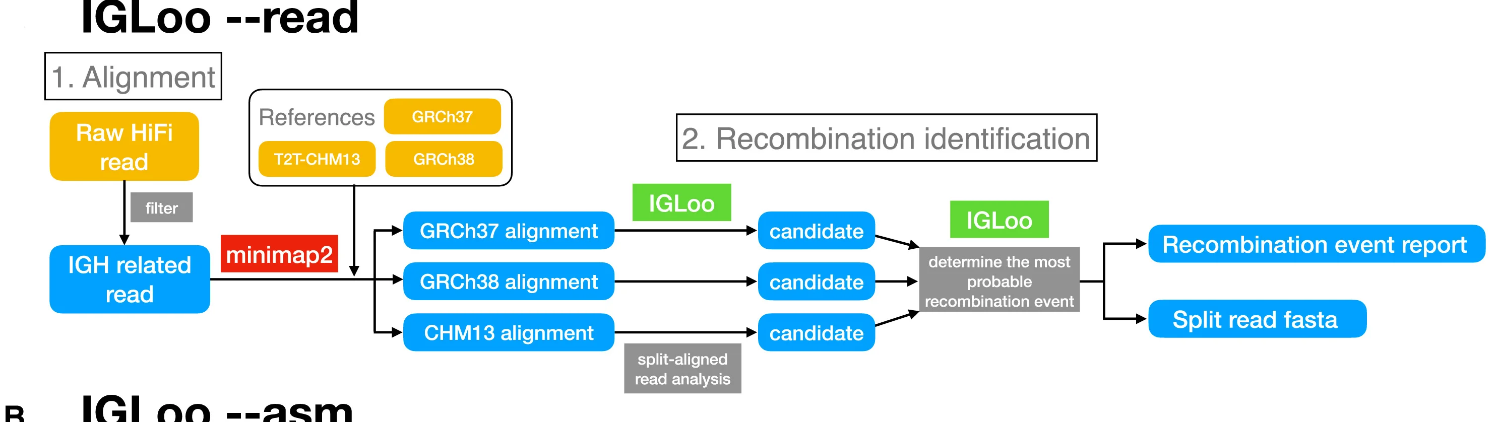 Open access visualization of Workflow, Flowchart, Illustration, IGLoo, HiFi Reads