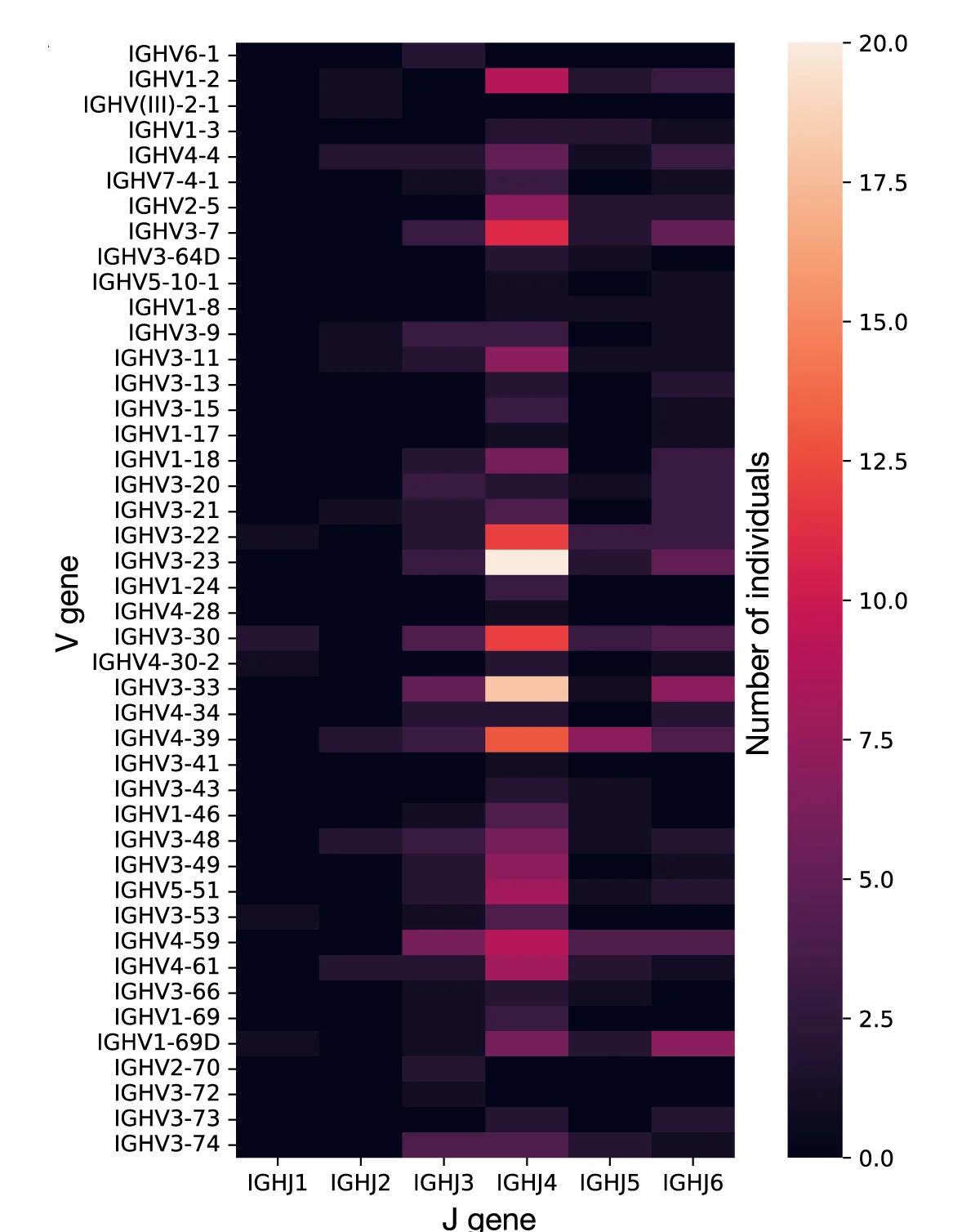 Open access visualization of Heatmap, Individuals, V Gene, J Gene, V(D)J Recombination