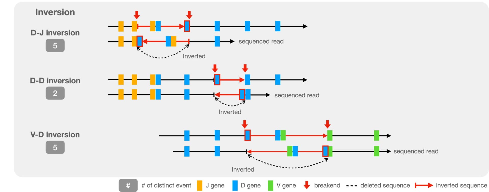 Open access visualization of Workflow, Illustration, Non-Canonical Events, Inversion, D-J Pair