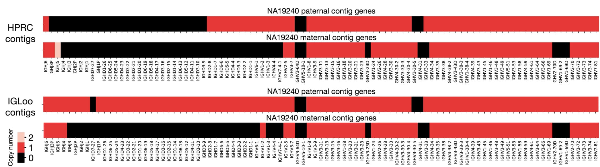 Open access visualization of Heatmap, Gene Number, IGLoo-ReAsm, D Genes, J Genes