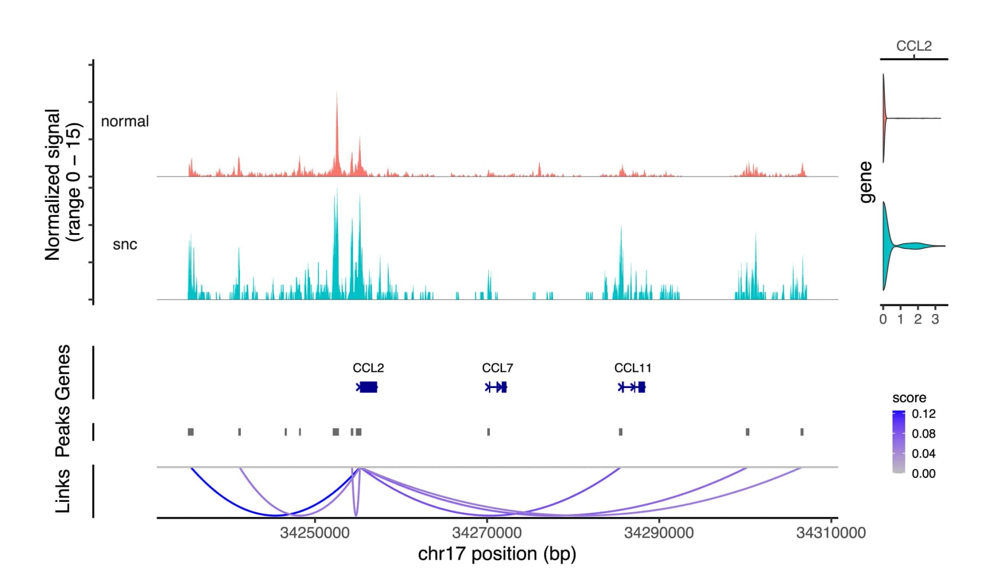 Open access visualization of Line Plot, Violin Plot, CompassR Analysis, CCL2 Gene, Stromal Cells
