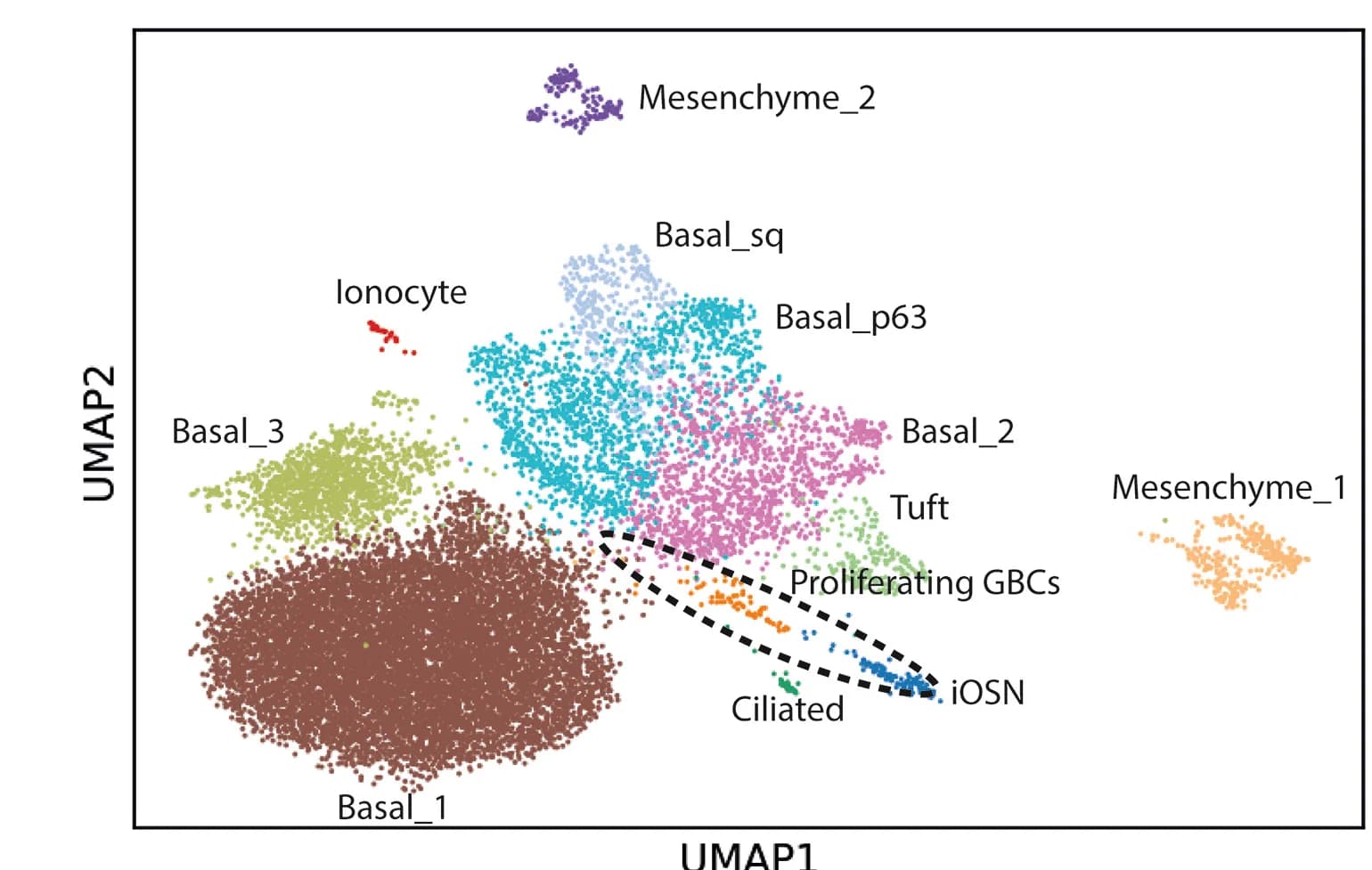 Open access visualization of Scatter Plot, UMAP, Single-Cell RNA-Seq, Organoid Culture
