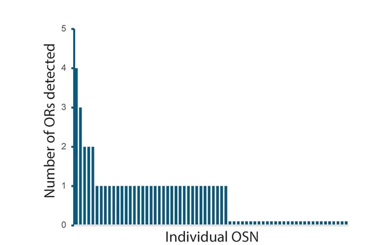 Open access visualization of Bar Plot, Histogram, Histogram Plot, ORs, Single Cells