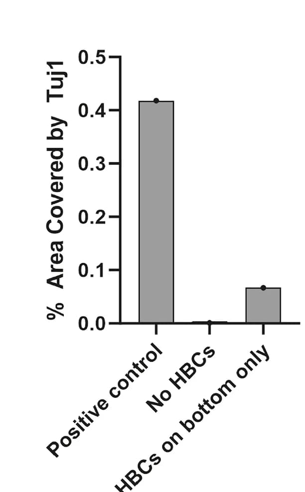 Open access visualization of Bar Plot, Error Bars, Transwells, Quantification, Tuj1