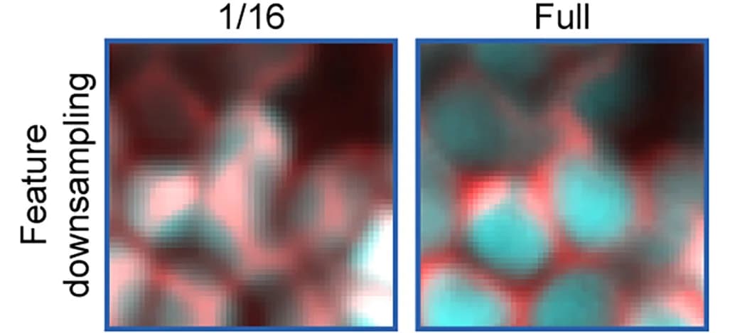 Open access visualization of Microscopy, Feature Map Size, Translation Accuracy, Spatial Resolution, Translation Overlay