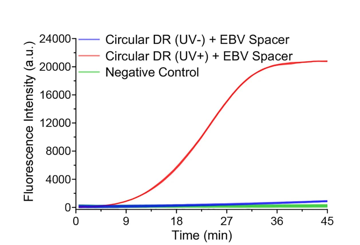Open access visualization of Line Plot, Fluorescence Data, LbCas12a, Cleavage Activity, Circular DR