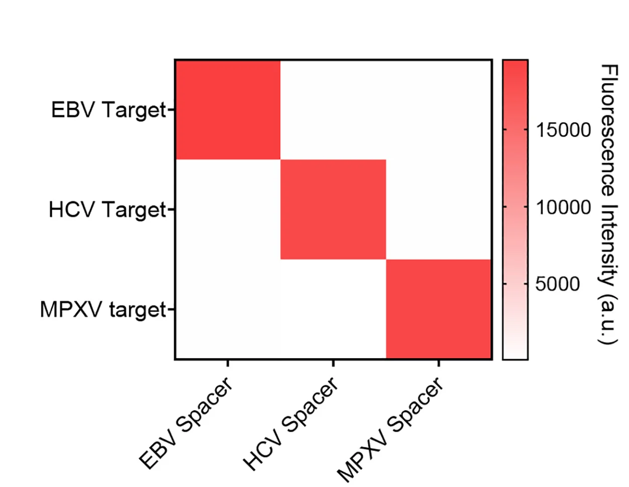 Open access visualization of Heatmap, Heatmap Analysis, Circular DR, Spacer, Target Detection