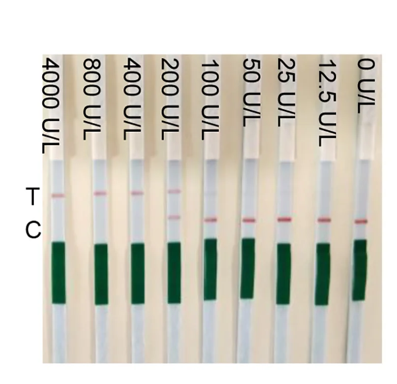 Open access visualization of Gel, Paper Strip Assay, UDG Concentrations, Mobile Phone Camera