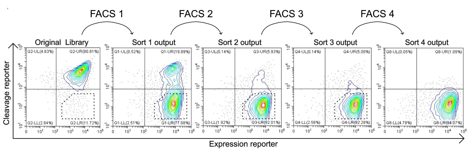 Open access visualization of Scatter Plot, Density Plot, Flow Cytometry, Cell Sorting, Matriptase