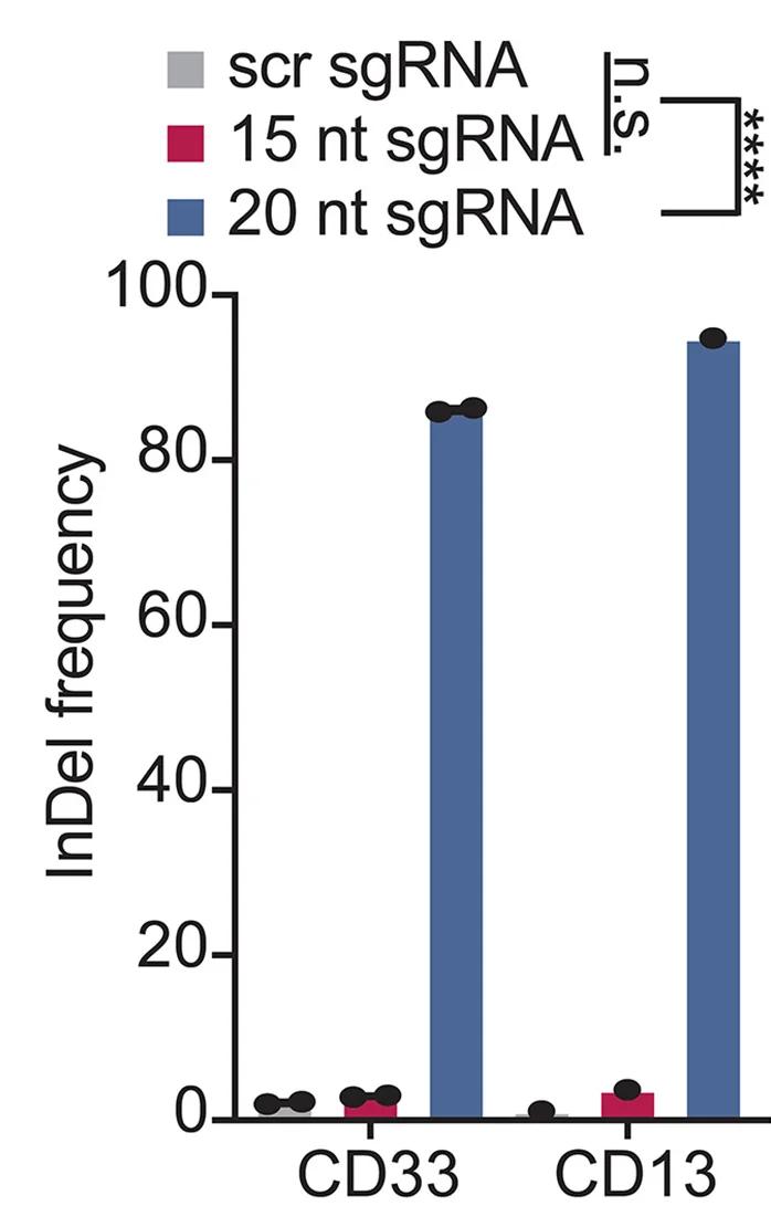 Open access visualization of Bar Plot, Indel Frequency, CD13, CD33, ZIM3-Cas9