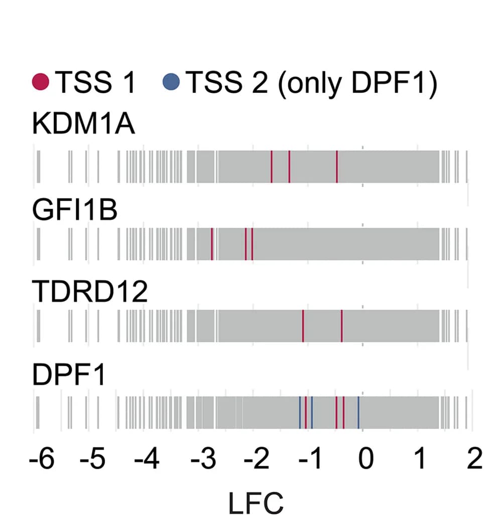Open access visualization of Bar Plot, sgRNA, Performance, Differential Genes