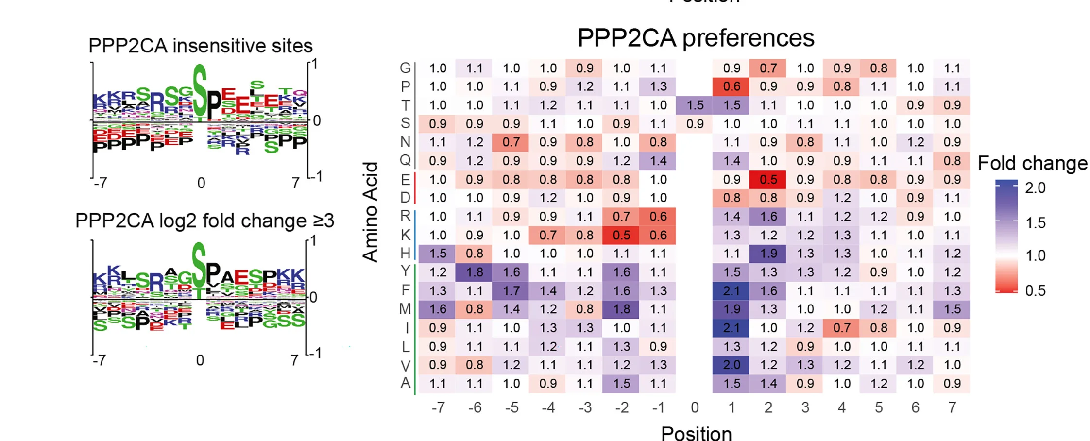 Open access visualization of Heatmap, Preference Analysis, Amino Acids, Phosphorylation Sites, Phosphatase