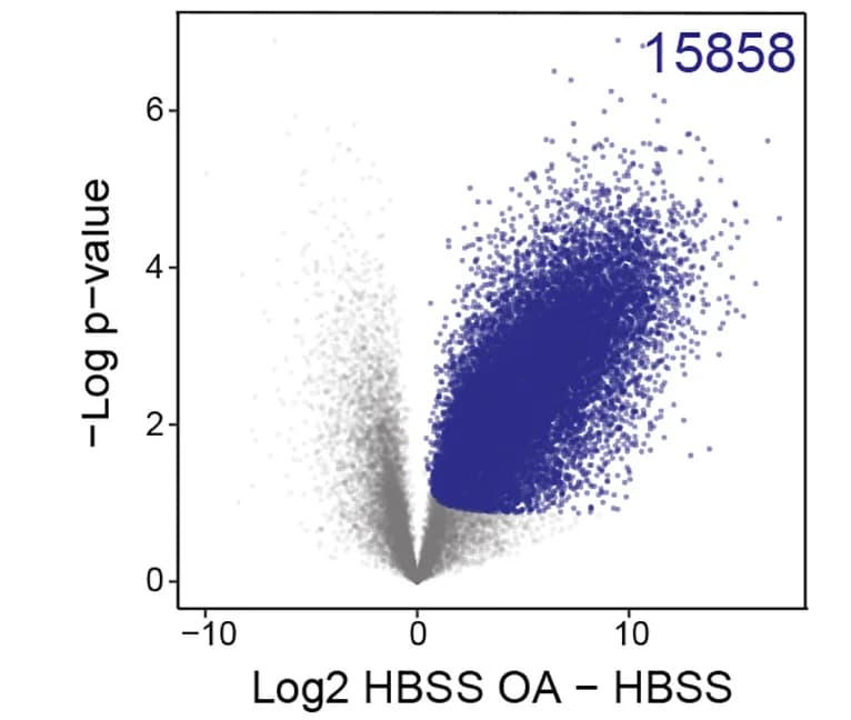 Open access visualization of Volcano Plot, Scatter Plot, Phosphosites, PP2A, Starvation