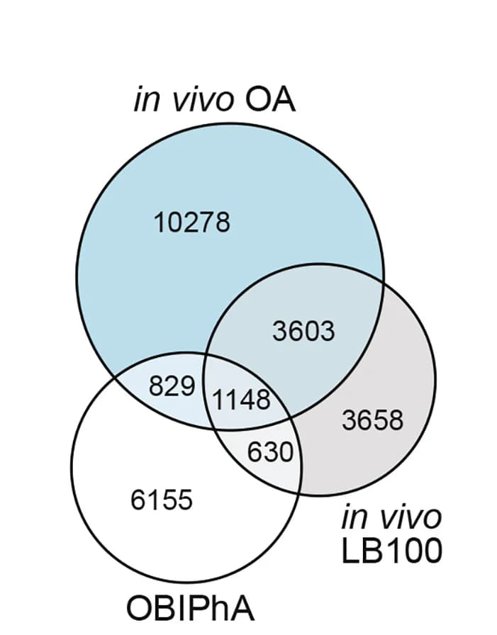 Open access visualization of Venn Diagram, OBIPhA, In Vivo Analyses, Phosphosites, PP2A Target Sites