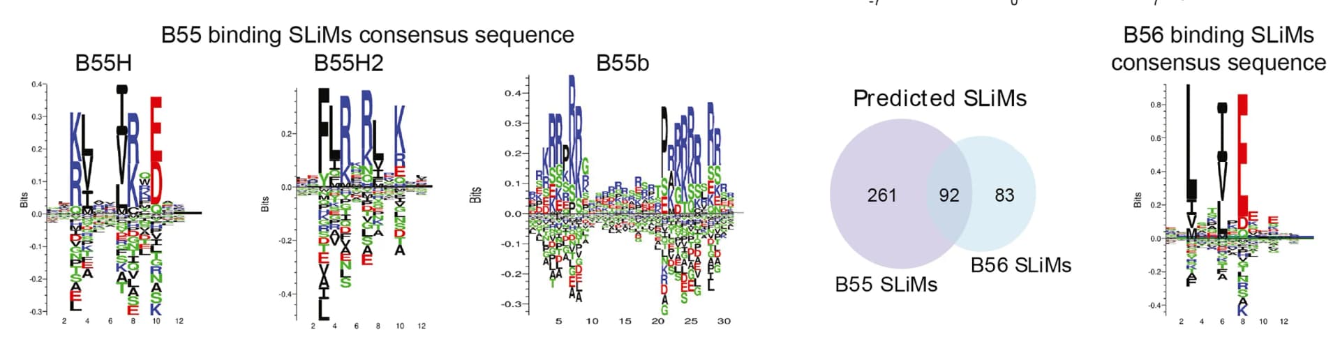 Open access visualization of Venn Diagram, Bar Plot, Consensus Sequences, B55, B56