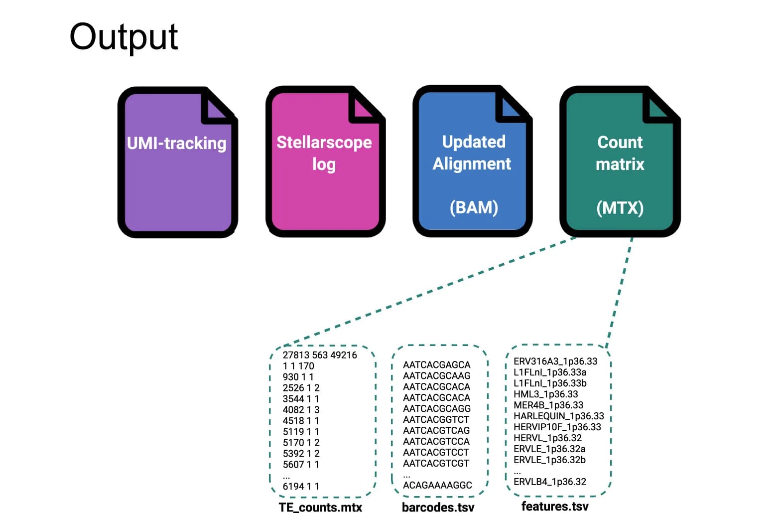 Open access visualization of Workflow, Illustration, Stellarscope, UMI Counts, Cell