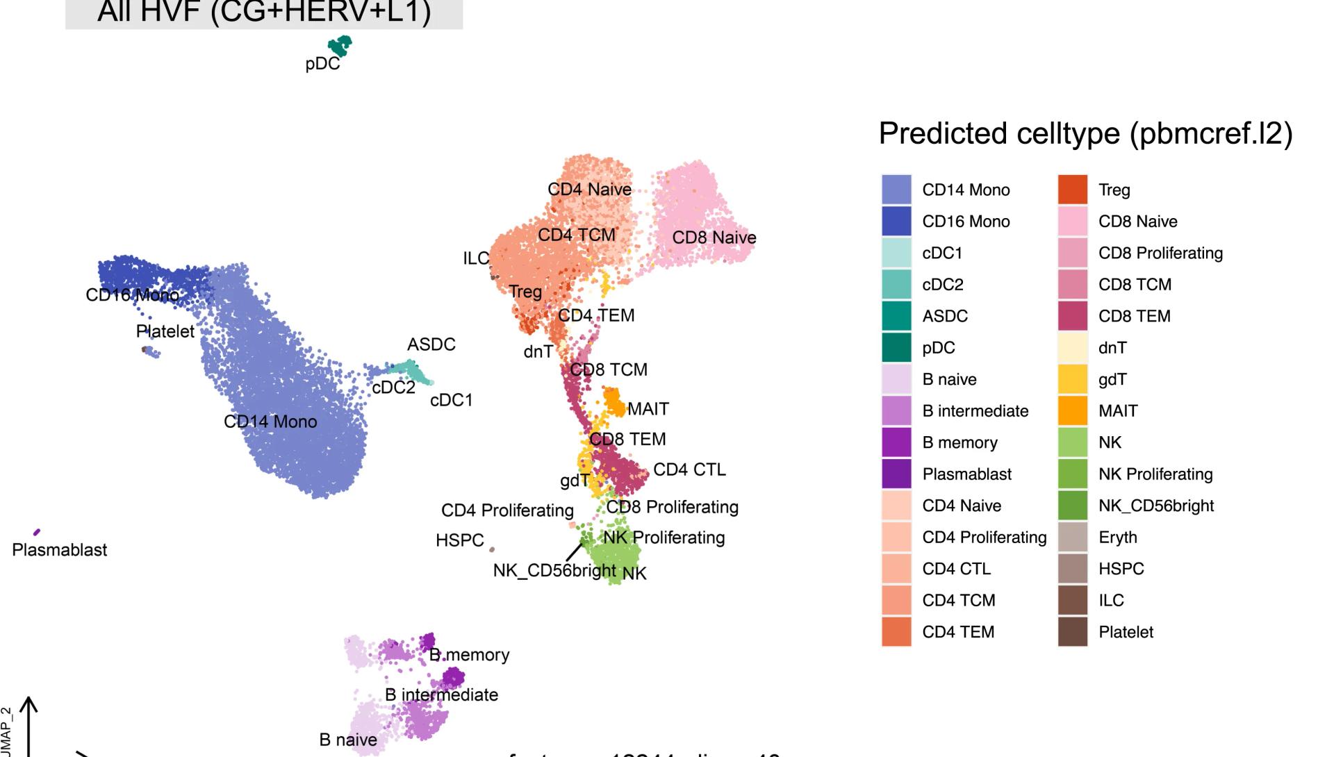 Open access visualization of UMAP, Scatter Plot, Highly Variable Features, CG, HERV