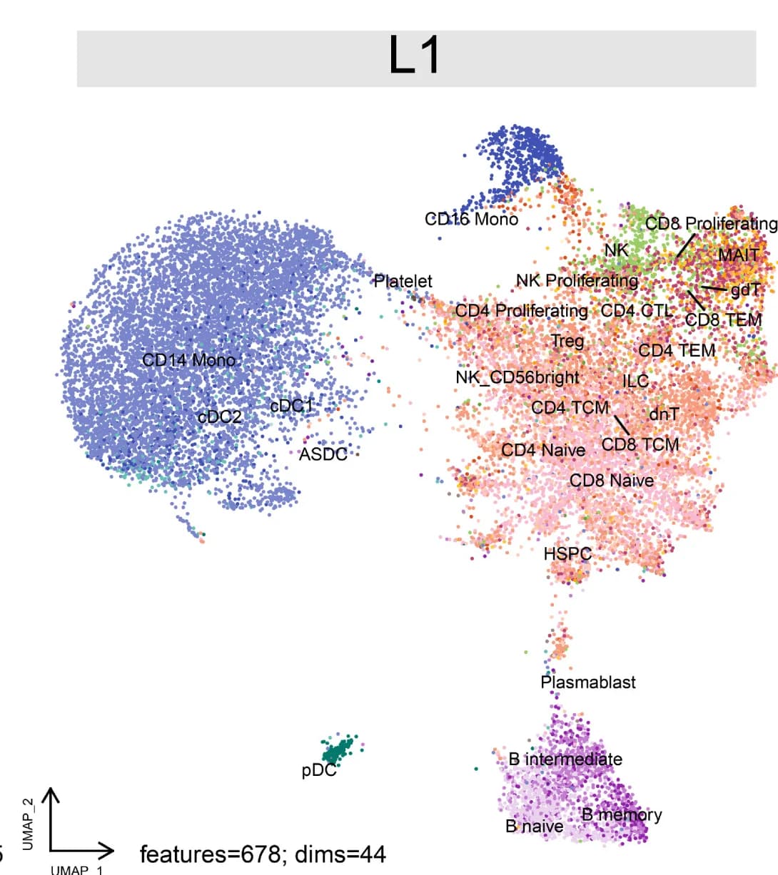 Open access visualization of Scatter Plot, UMAP, HVF Subsets, L1, Cell Type